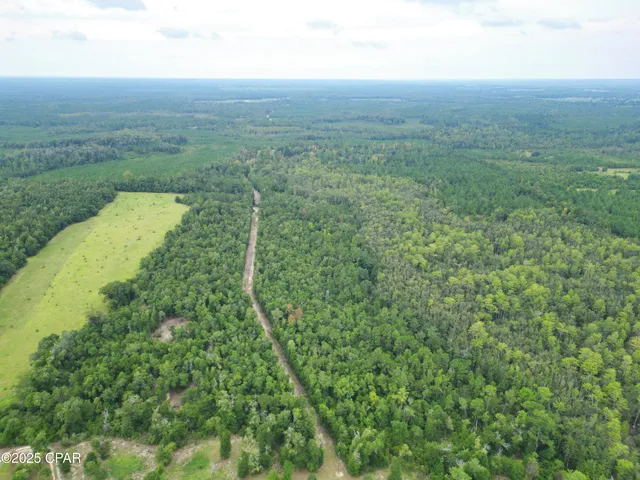 $52,000 | 0 Non Road, Marianna, FL 32448