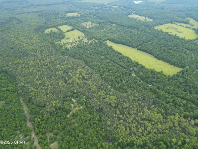 $52,000 | 0 Non Road, Marianna, FL 32448