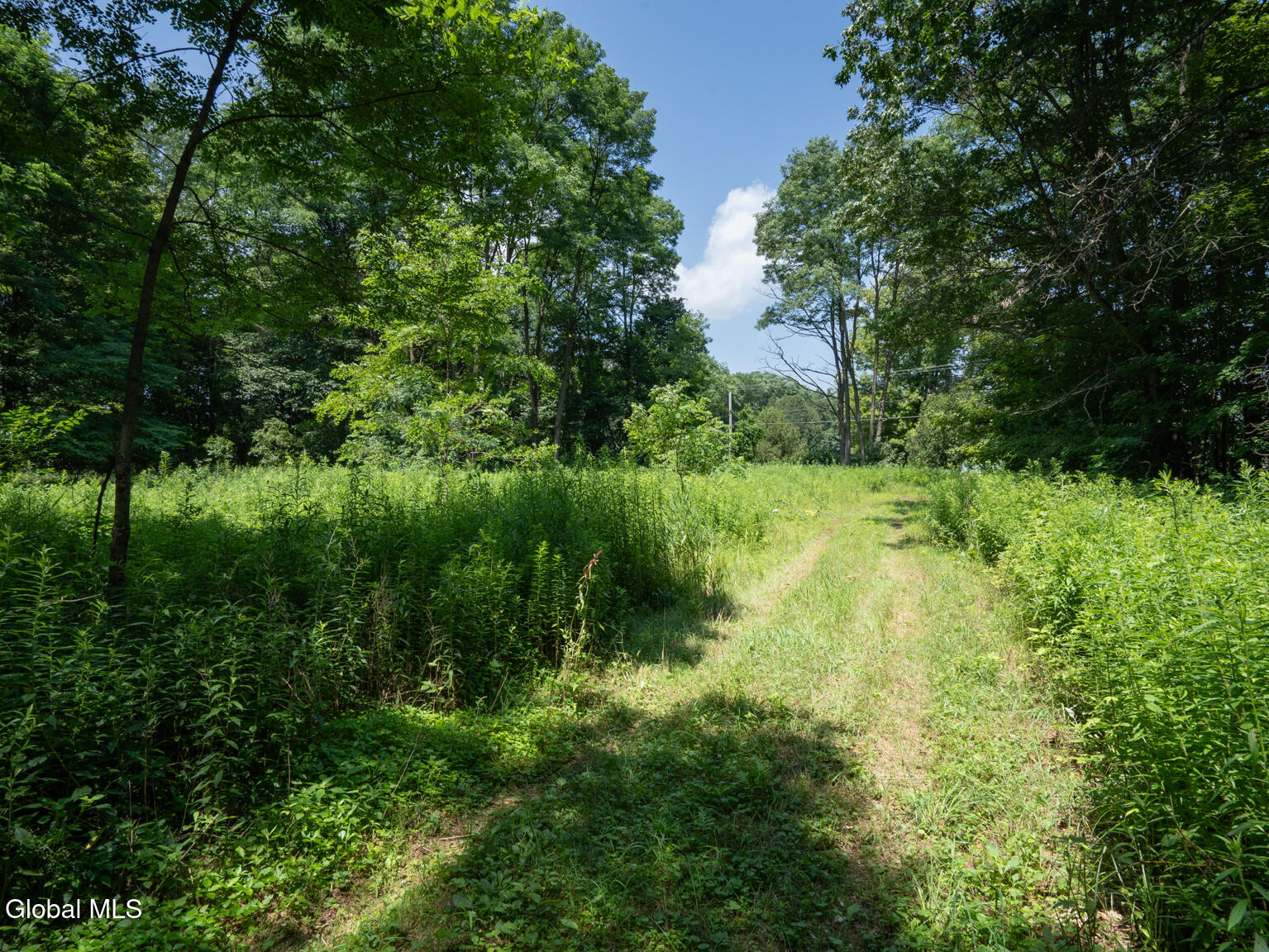 410 Middle Grove Road Greenfield, NY 12850 - Photo 33 of 52 DSC01526