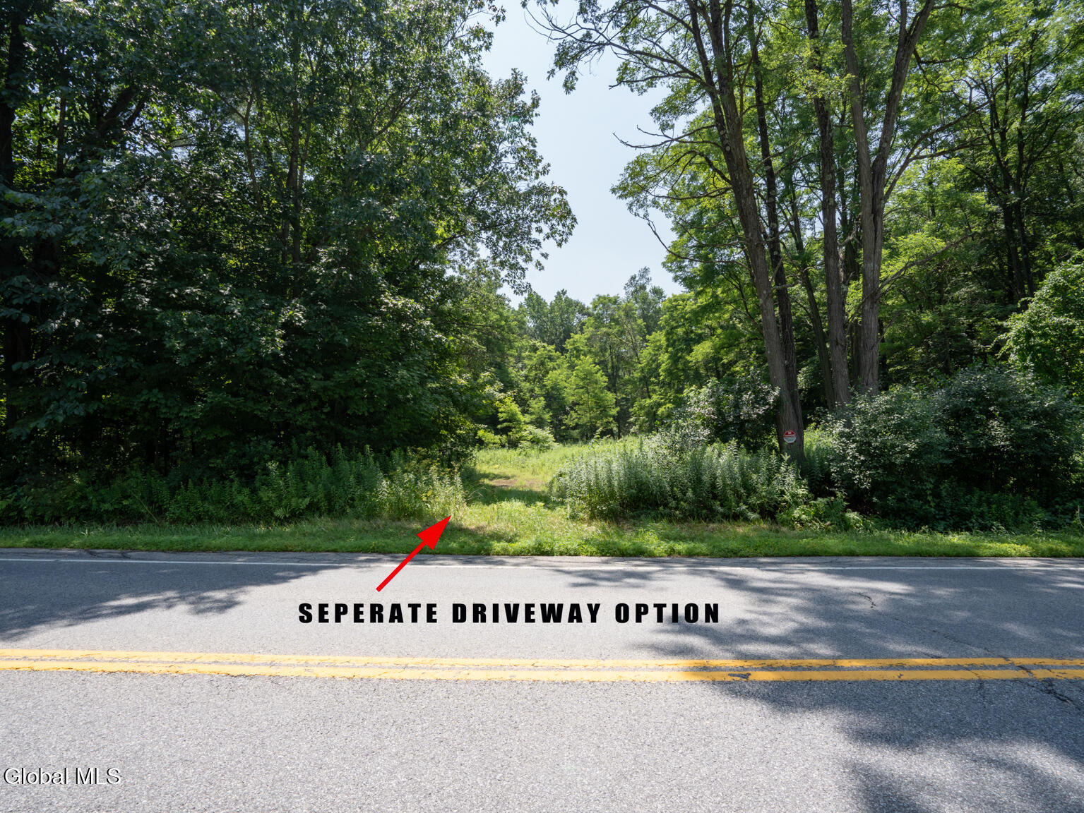 410 Middle Grove Road Greenfield, NY 12850 - Photo 36 of 52 DSC01528-Edit