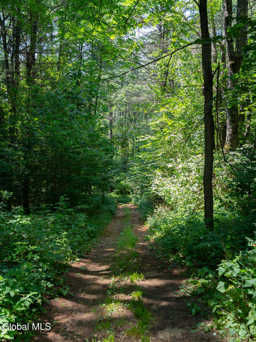 410 Middle Grove Road Greenfield, NY 12850 - Photo 37 of 52 DSC01530