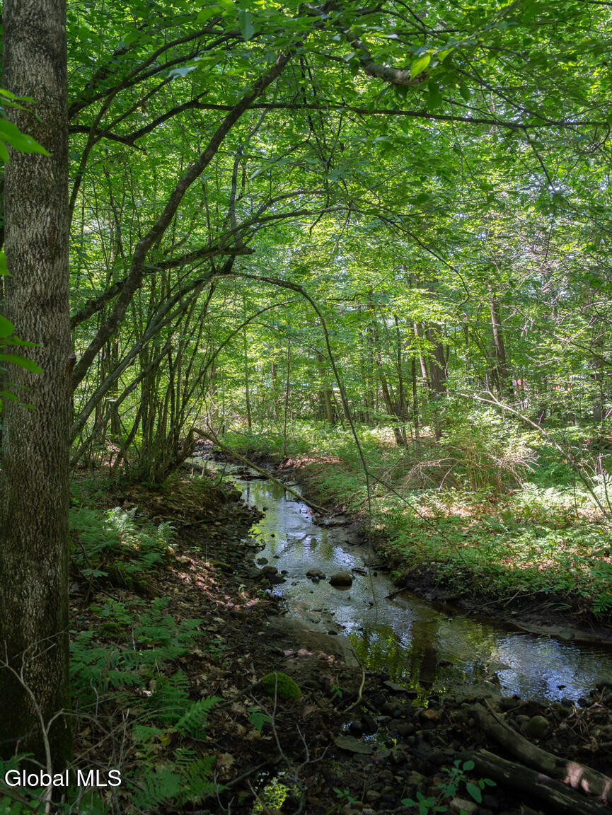 410 Middle Grove Road Greenfield, NY 12850 - Photo 38 of 52 DSC01534