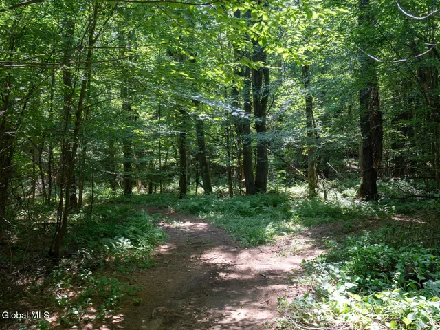 $1,200,000 | 410 Middle Grove Road, Greenfield, NY 12850