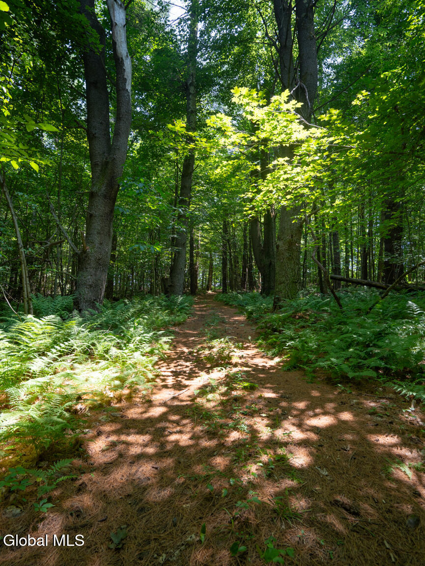 410 Middle Grove Road Greenfield, NY 12850 - Photo 40 of 52 DSC01536