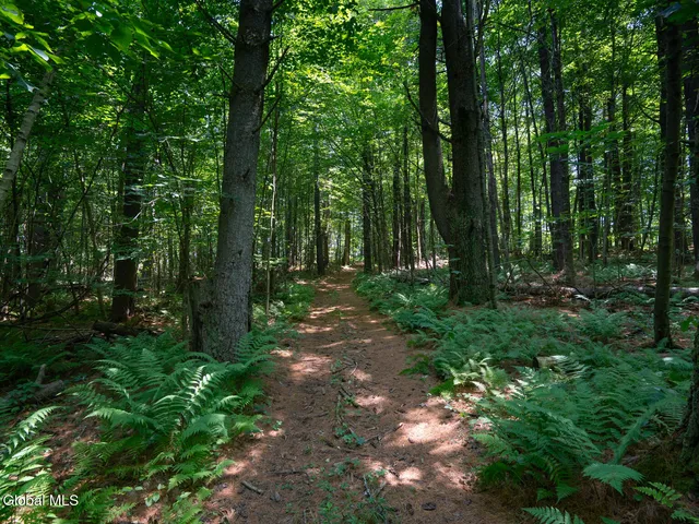 $1,200,000 | 410 Middle Grove Road, Greenfield, NY 12850