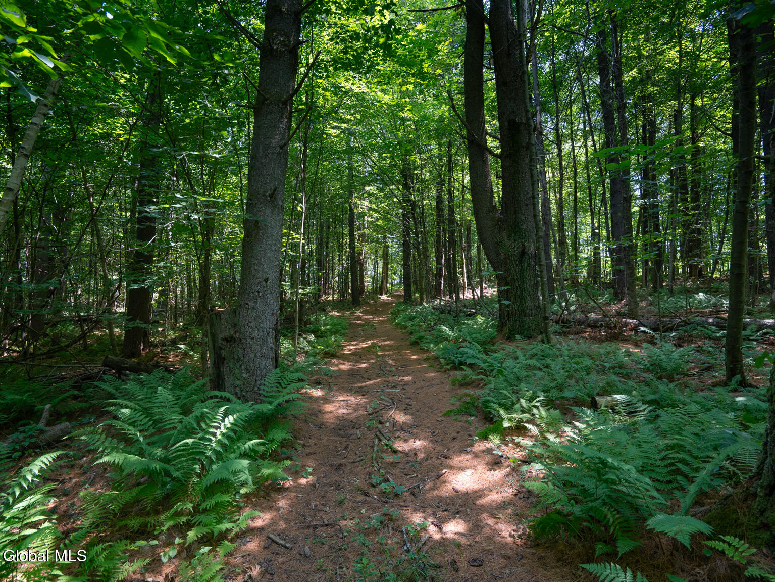 410 Middle Grove Road Greenfield, NY 12850 - Photo 41 of 52 DSC01538