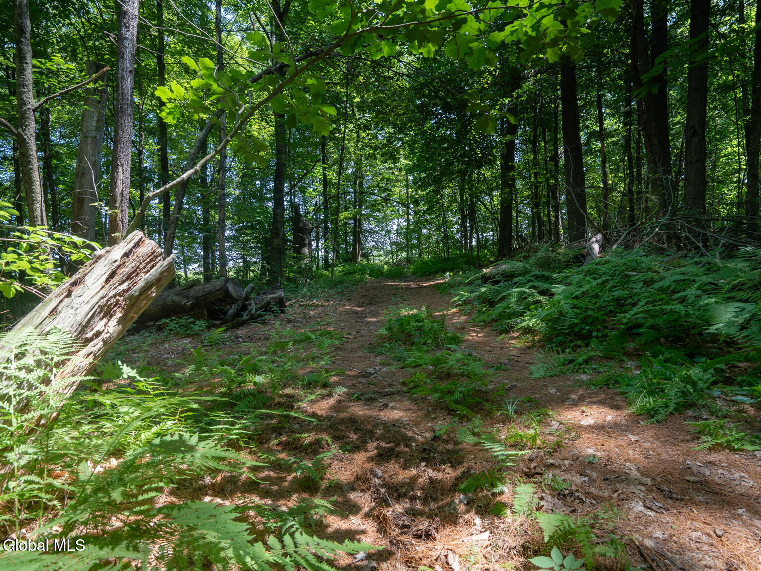 410 Middle Grove Road Greenfield, NY 12850 - Photo 42 of 52 DSC01539