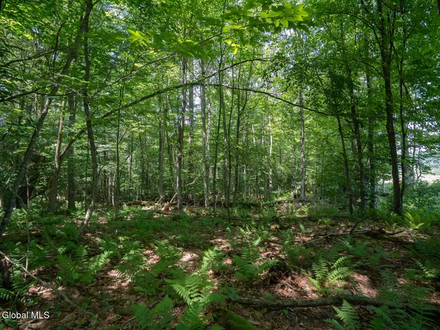 $1,200,000 | 410 Middle Grove Road, Greenfield, NY 12850