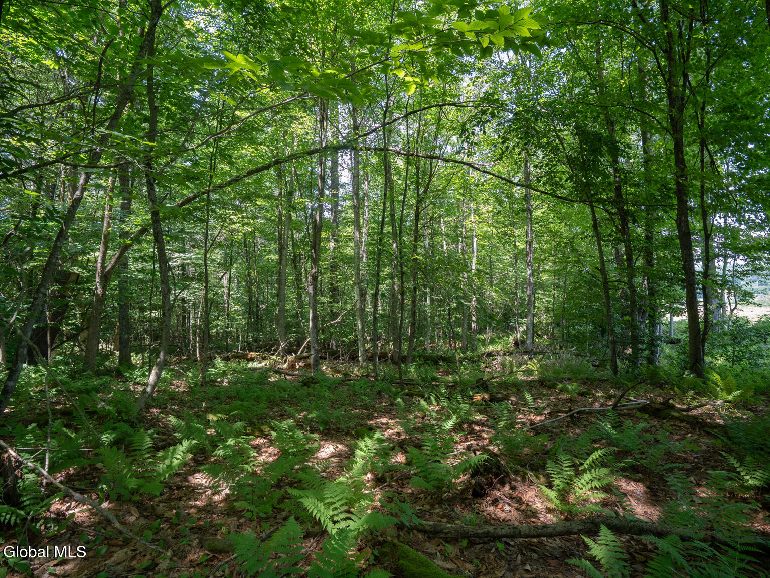 410 Middle Grove Road Greenfield, NY 12850 - Photo 44 of 52 DSC01542