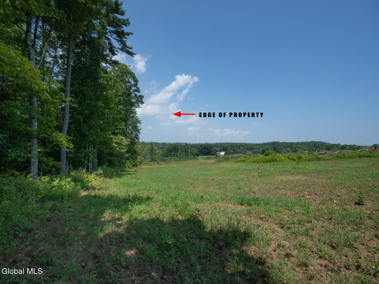 410 Middle Grove Road Greenfield, NY 12850 - Photo 45 of 52 DSC01543-Edit