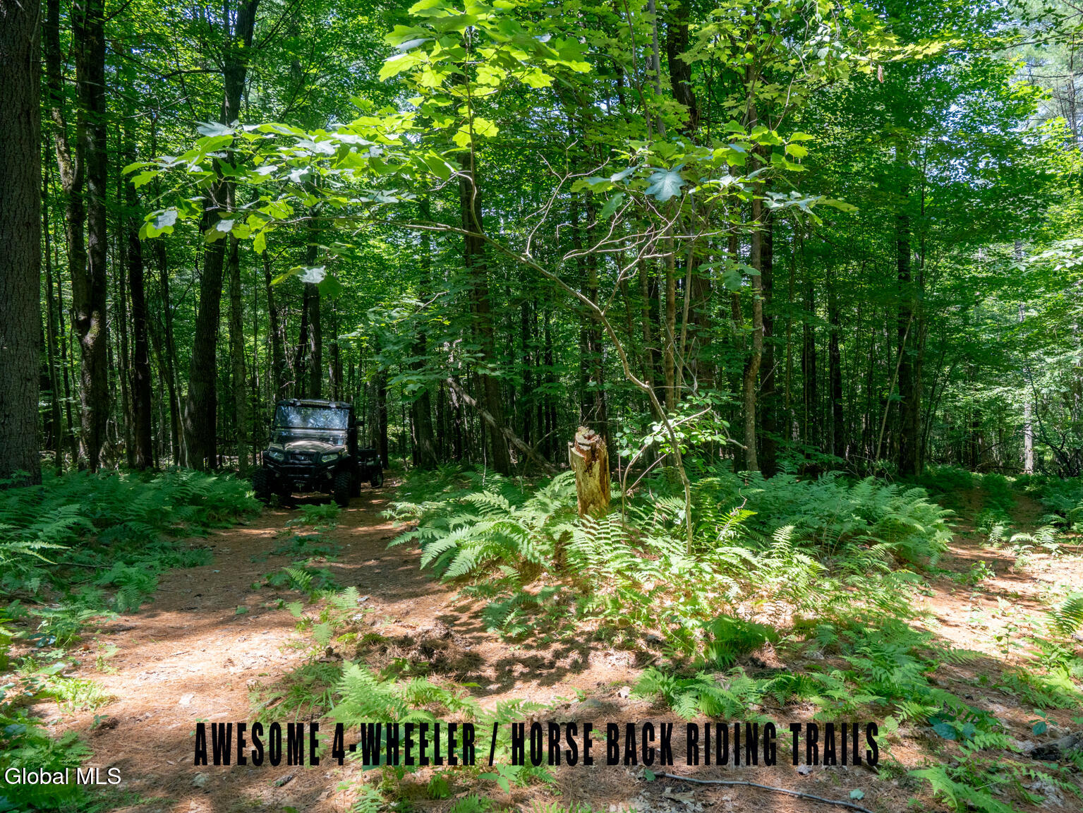 410 Middle Grove Road Greenfield, NY 12850 - Photo 46 of 52 DSC01545-Edit