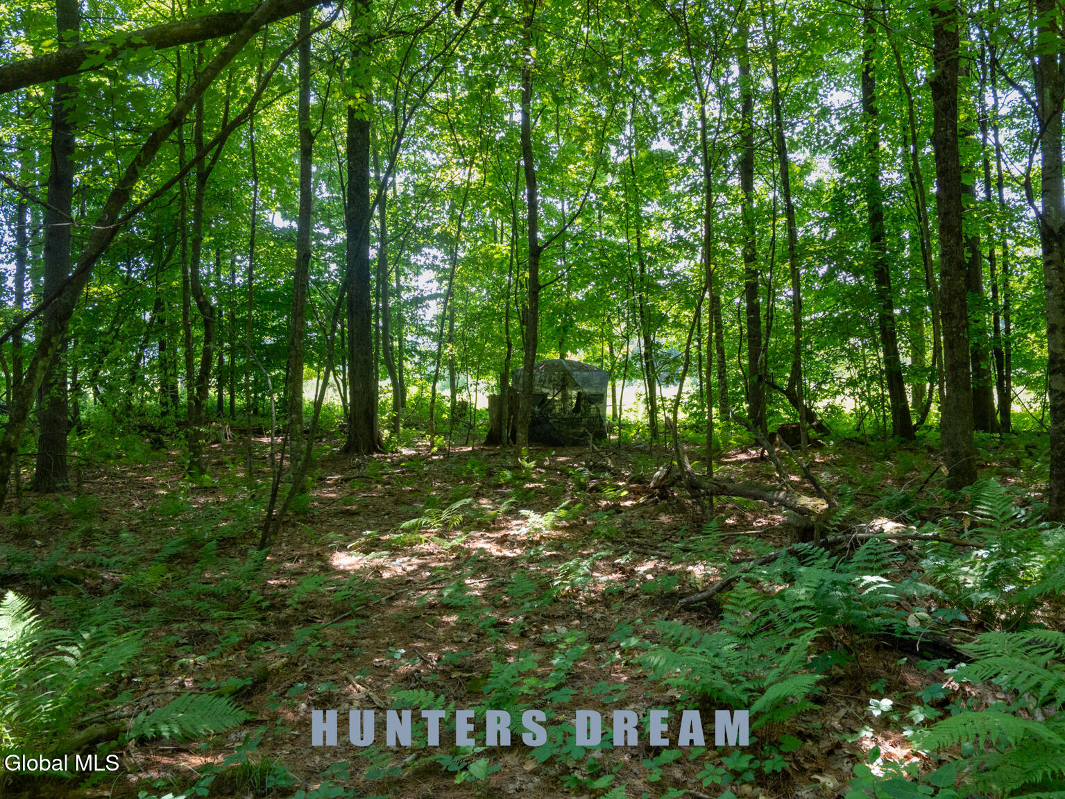 410 Middle Grove Road Greenfield, NY 12850 - Photo 47 of 52 DSC01547-Edit