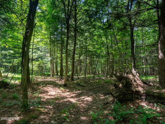 $1,200,000 | 410 Middle Grove Road, Greenfield, NY 12850