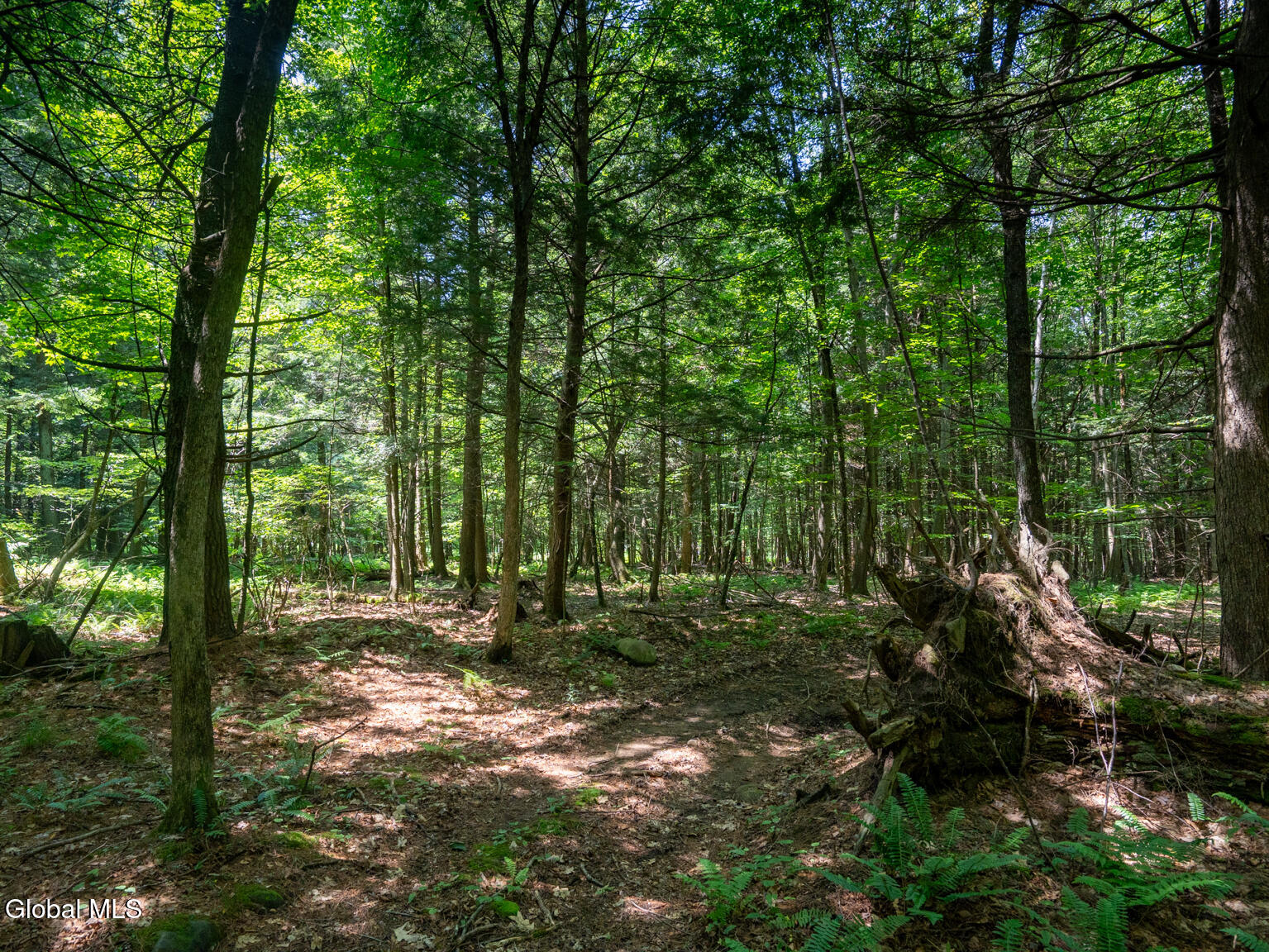 410 Middle Grove Road Greenfield, NY 12850 - Photo 49 of 52 DSC01550