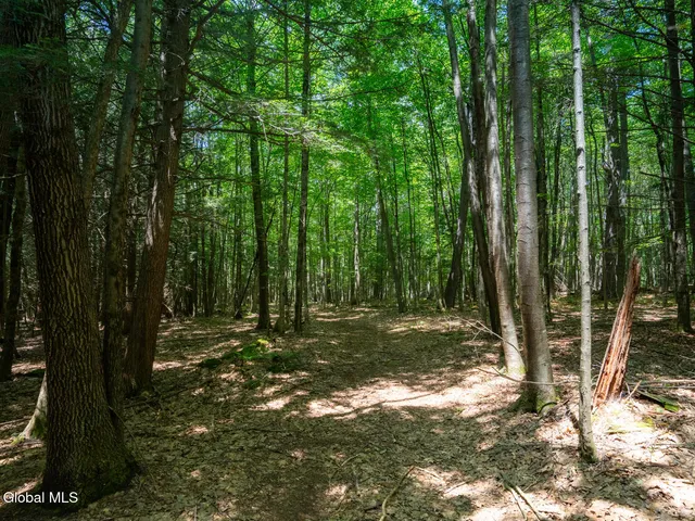 $1,200,000 | 410 Middle Grove Road, Greenfield, NY 12850