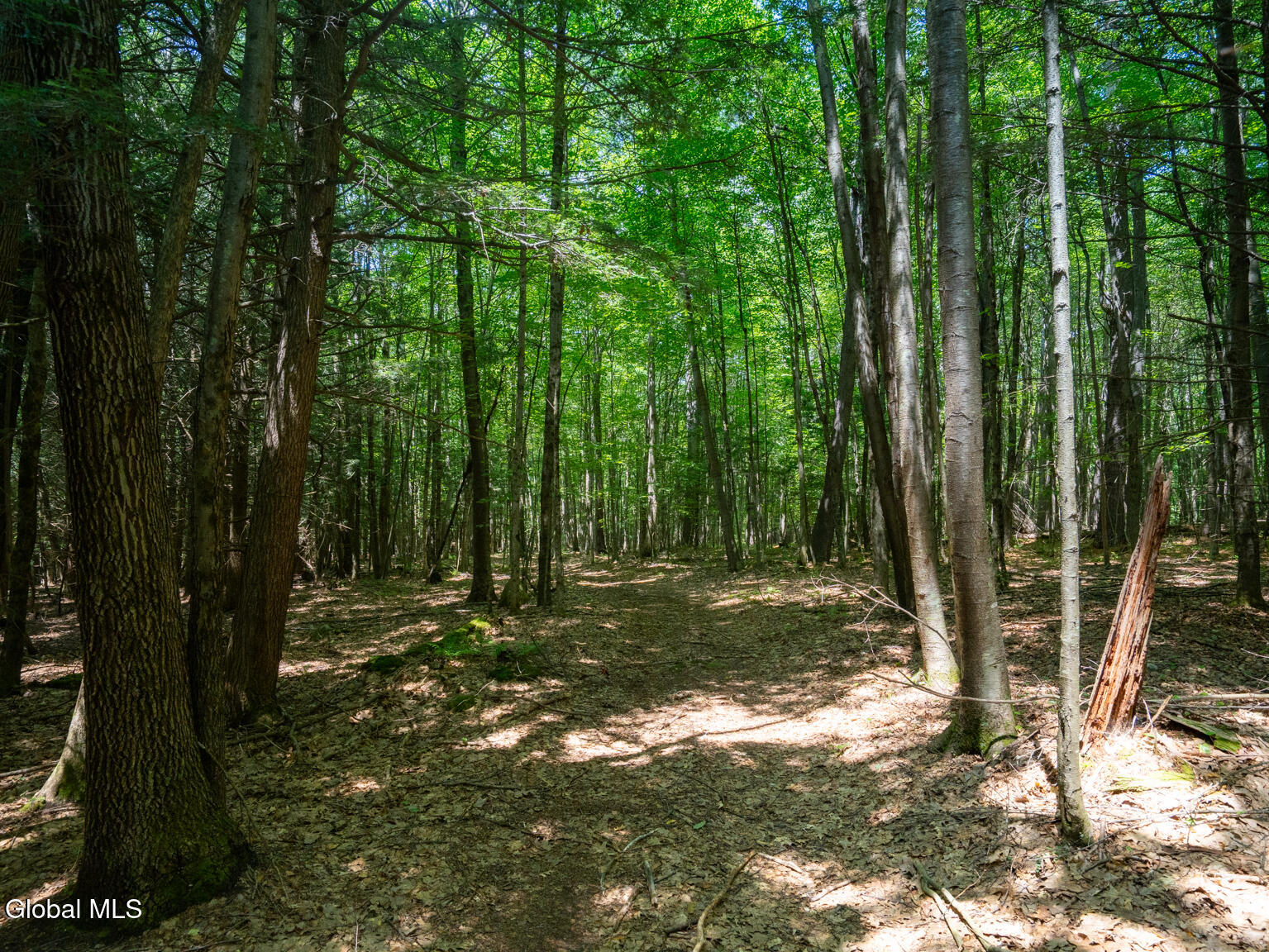 410 Middle Grove Road Greenfield, NY 12850 - Photo 50 of 52 DSC01552