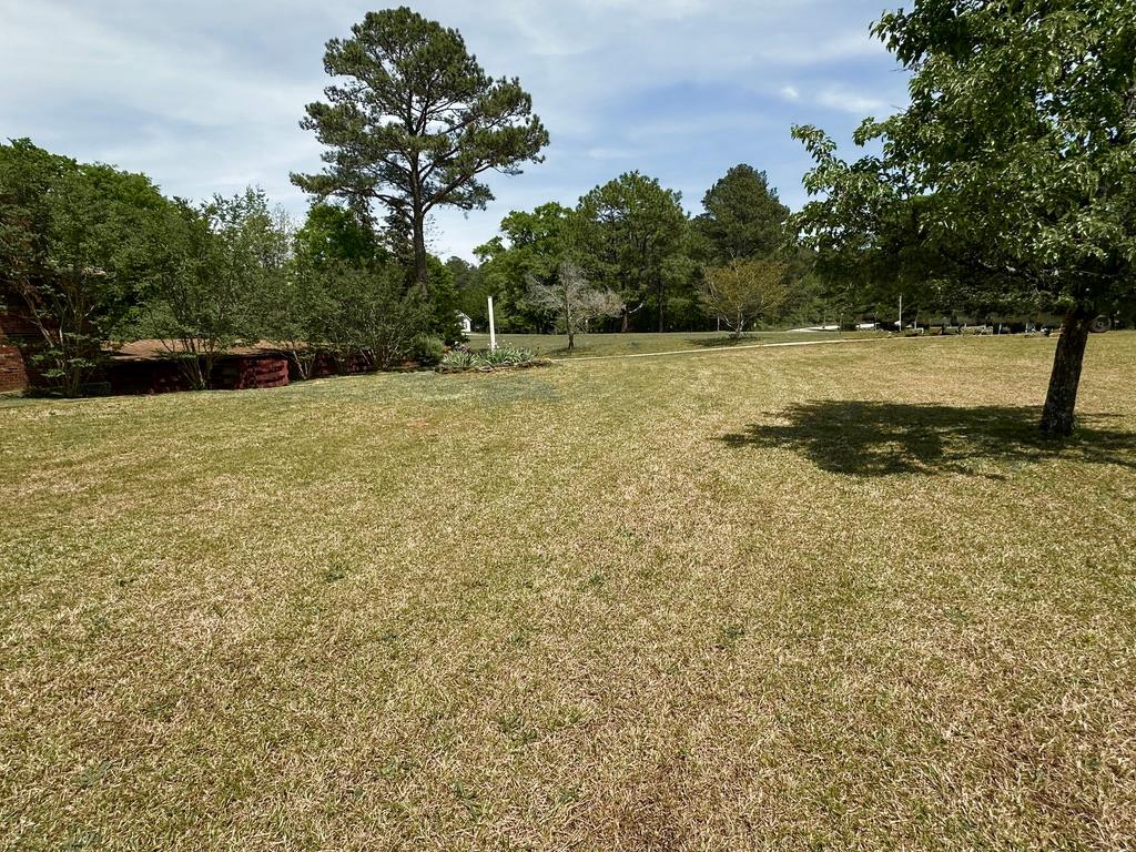 3943 Tommy Lee Cook Road Newnan, GA 30263 - Photo 32 of 35 Gallery Image 32