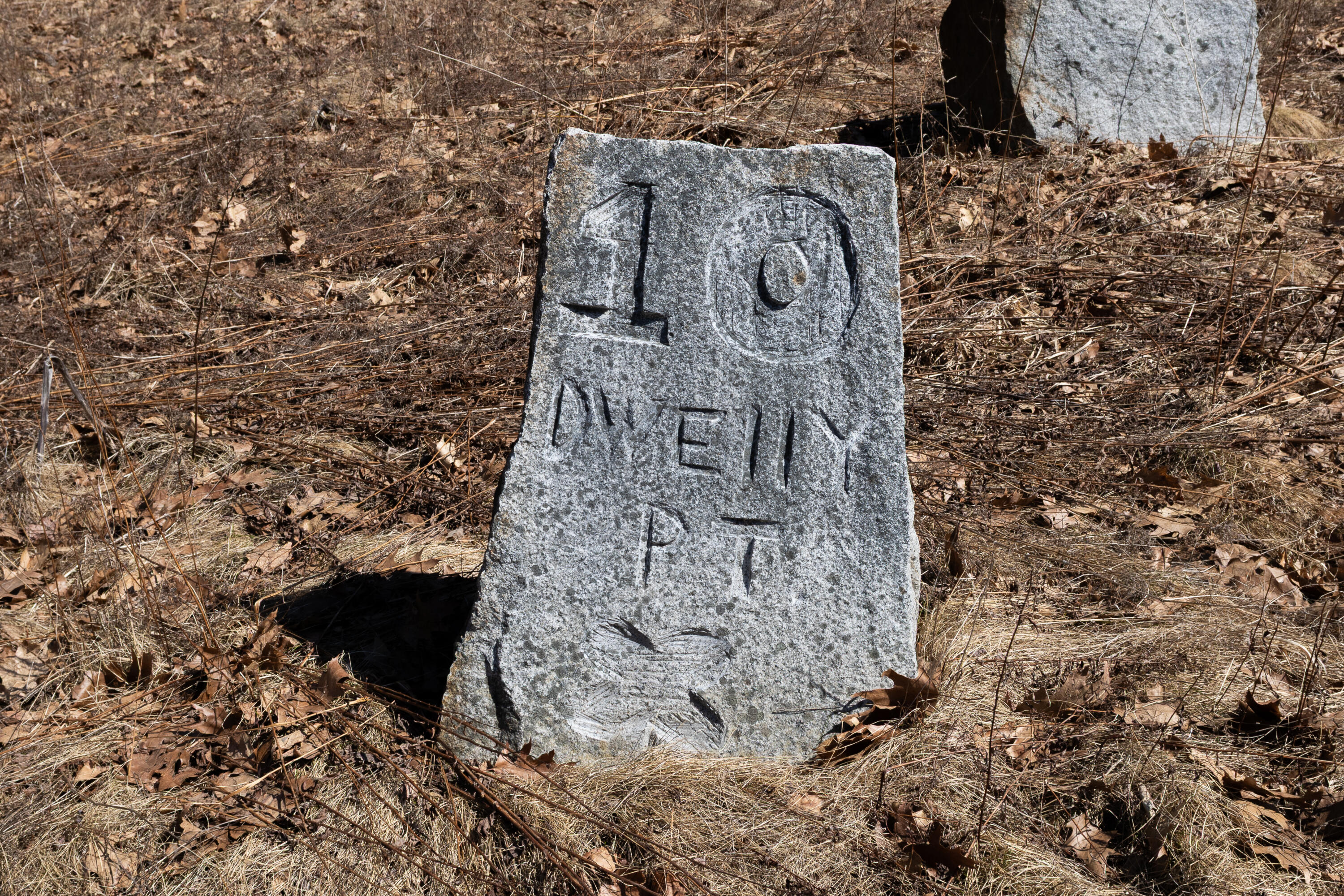 10 Dwelly Point Road Franklin, ME 04634 - Photo 31 of 31 IMG_4271