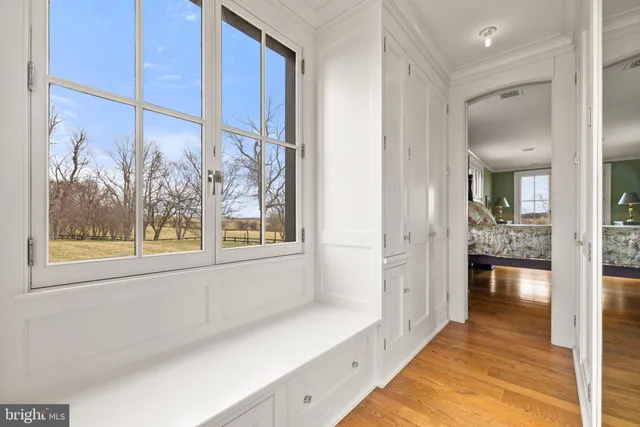 a view of a lush green forest with trees in the background