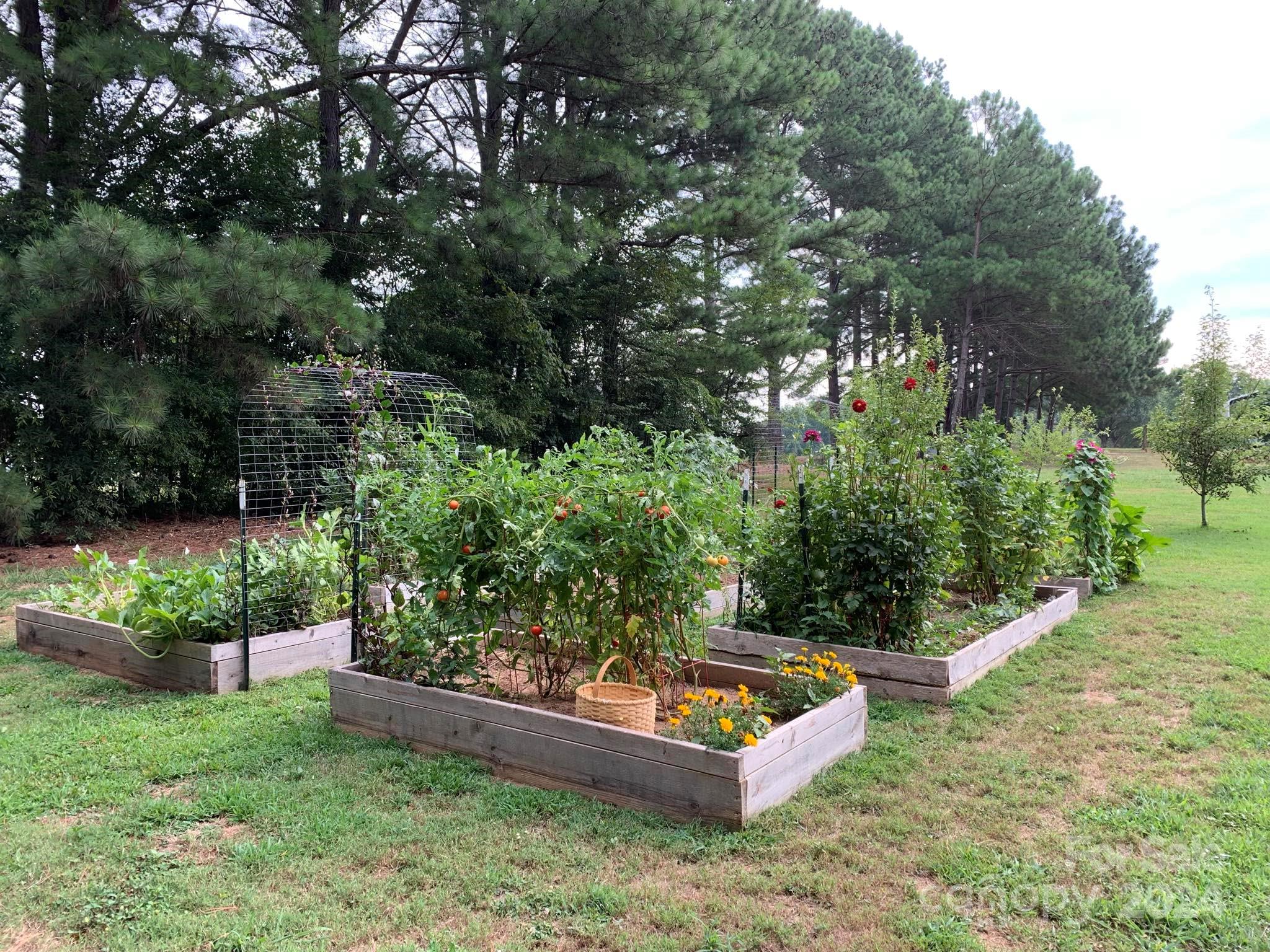 2440 Sloop Road Mount Ulla, NC 28125 - Photo 47 of 48 a view of a backyard with plants