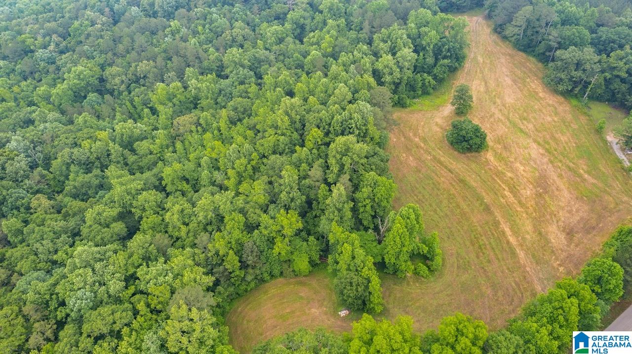 14791 County Road 10, Unit 45 ACRES Ranburne, AL 36273 - Photo 14 of 43