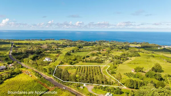 $688,000 | Lot, Pepeekeo, HI 96783