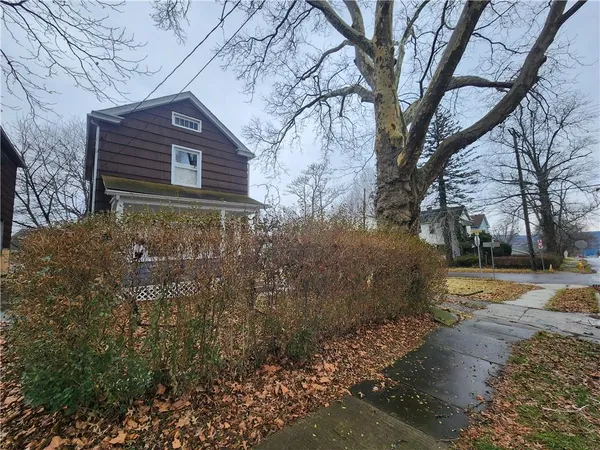 a view of a yard in the forest