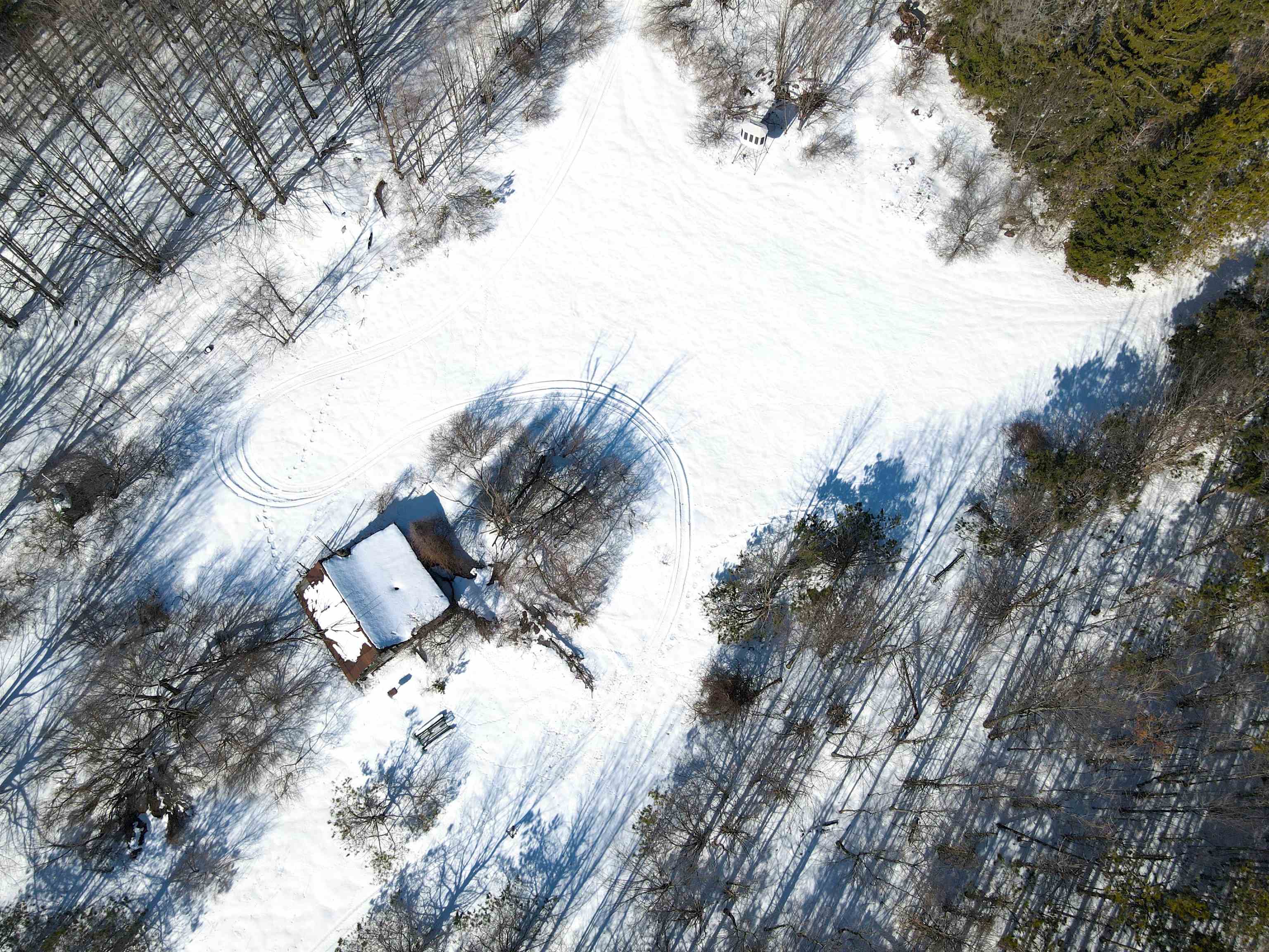 0 South Schomberg Road Cedar, MI 49621 - Photo 56 of 70