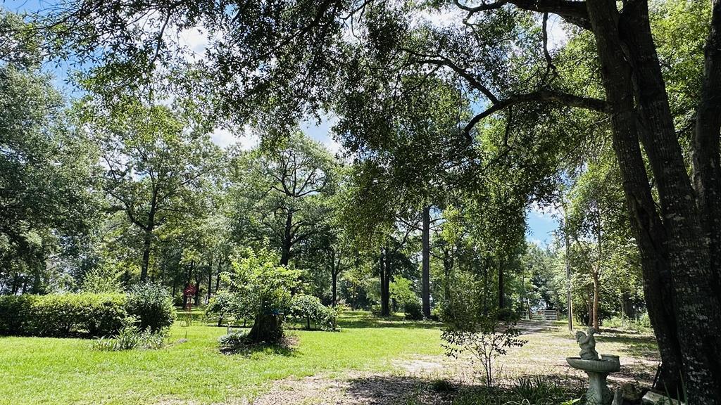 17639 North Creek Road Florala, AL 36442 - Photo 18 of 40