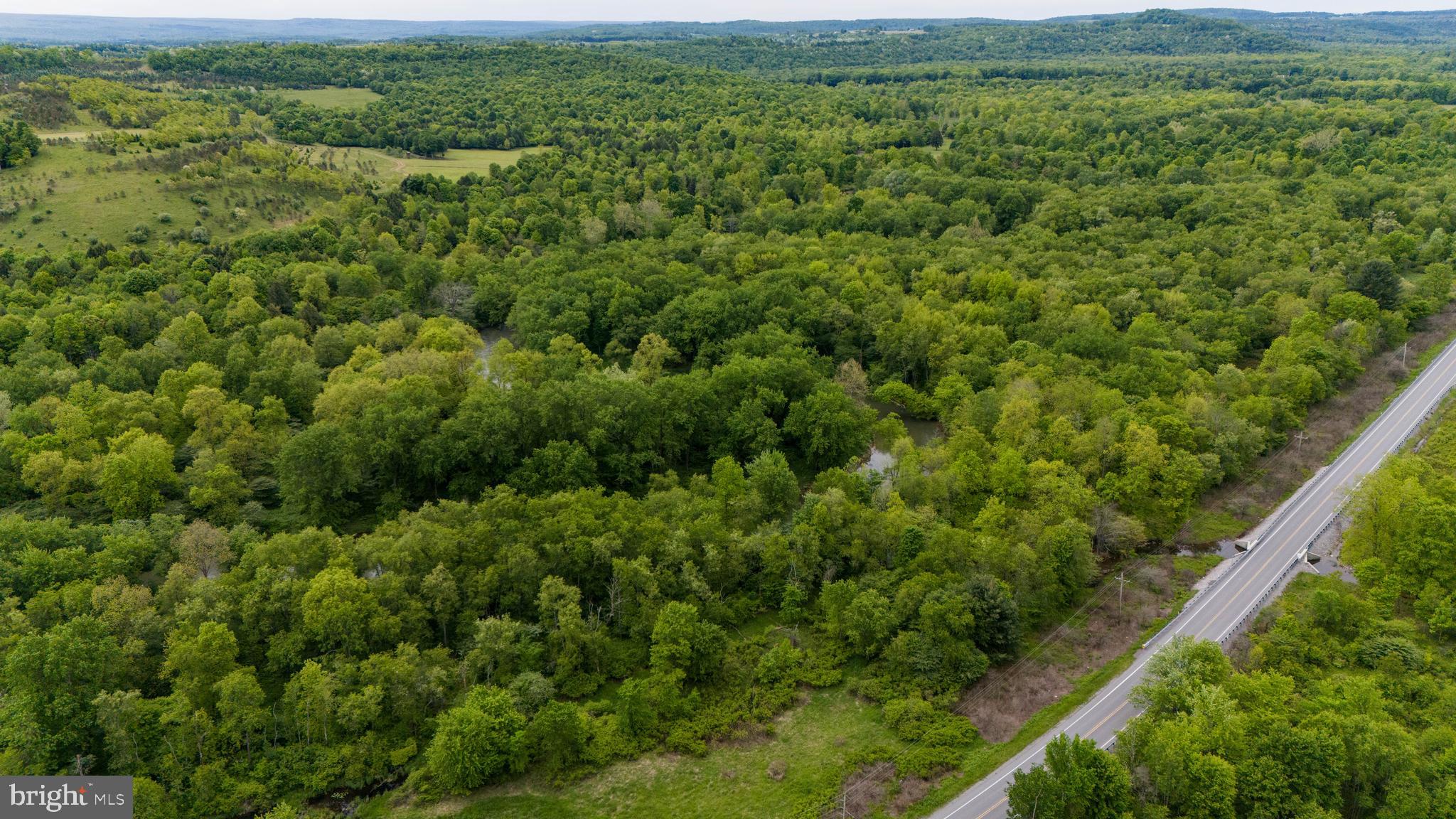 600-block Main Street Madera, PA 16661 - Photo 8 of 14 a view of a lush green forest with trees and some houses