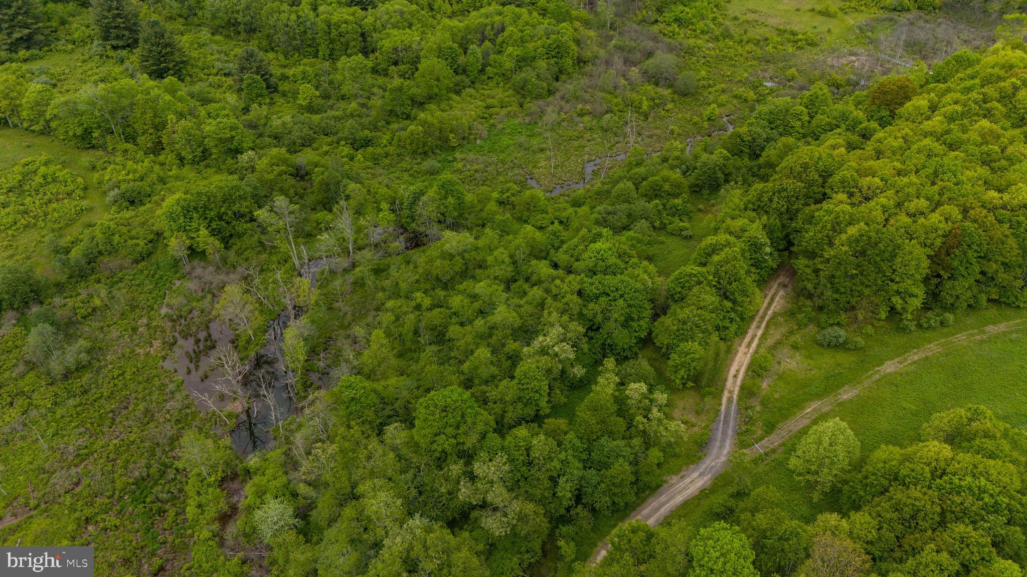 600-block Main Street Madera, PA 16661 - Photo 10 of 14 a view of a lush green forest
