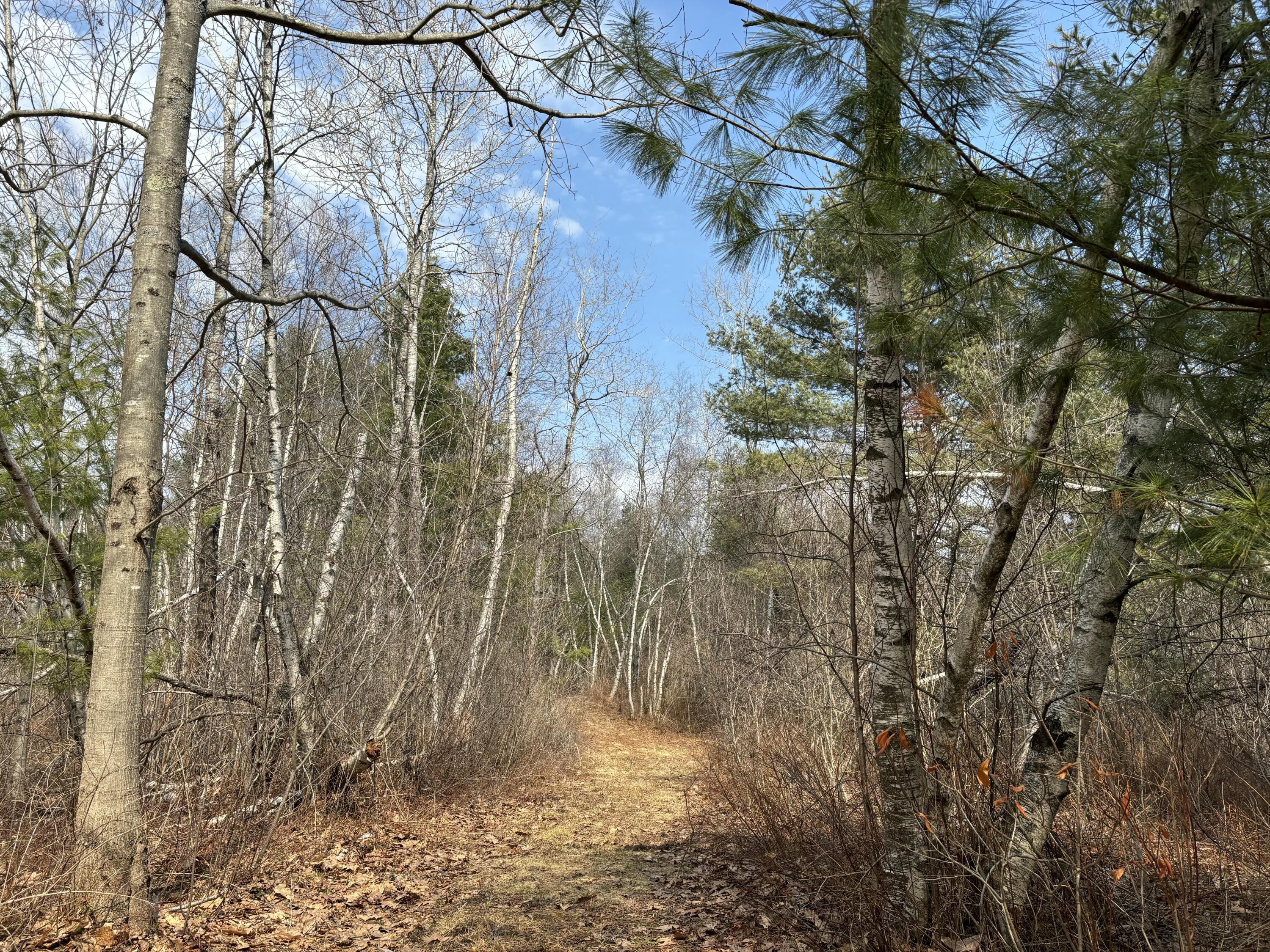 82 Tree Farm Road Brunswick, ME 04011 - Photo 48 of 49 IMG_0961