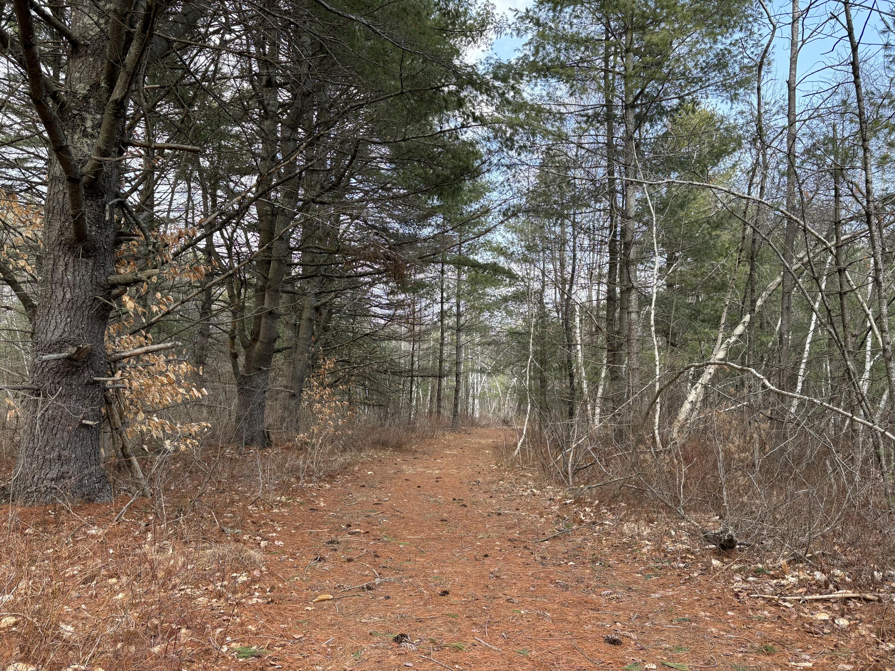 82 Tree Farm Road Brunswick, ME 04011 - Photo 49 of 49 IMG_0962