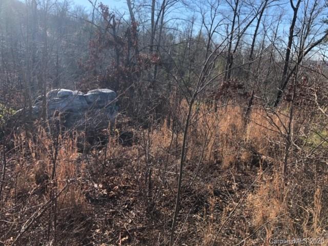 33 Dobsons Knob Loop Road, Unit 33 Marion, NC 28752 - Photo 3 of 16 Gallery Image 3