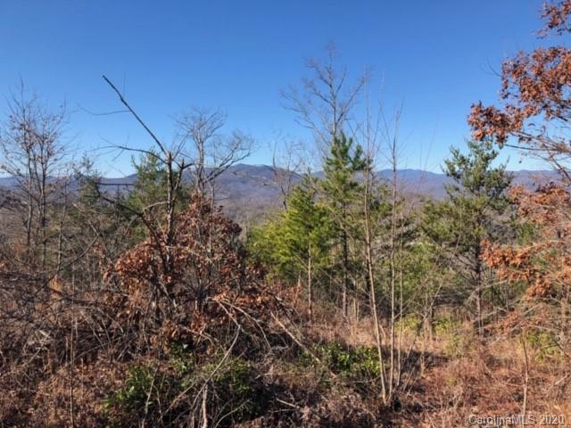 33 Dobsons Knob Loop Road, Unit 33 Marion, NC 28752 - Photo 4 of 16 Gallery Image 4