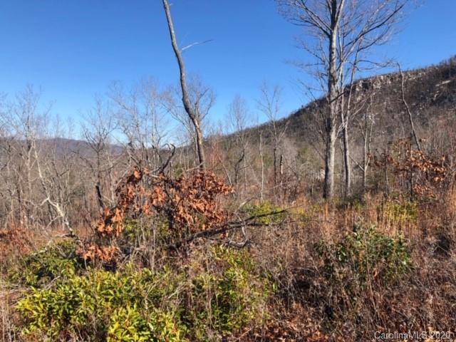 33 Dobsons Knob Loop Road, Unit 33 Marion, NC 28752 - Photo 5 of 16 Gallery Image 5