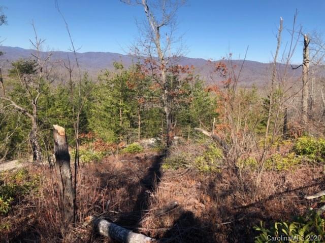 33 Dobsons Knob Loop Road, Unit 33 Marion, NC 28752 - Photo 7 of 16 Gallery Image 7