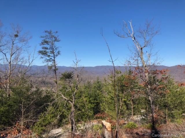 33 Dobsons Knob Loop Road, Unit 33 Marion, NC 28752 - Photo 8 of 16 Gallery Image 8