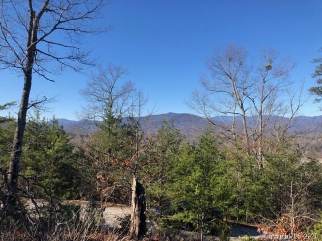 33 Dobsons Knob Loop Road, Unit 33 Marion, NC 28752 - Photo 9 of 16 Gallery Image 9