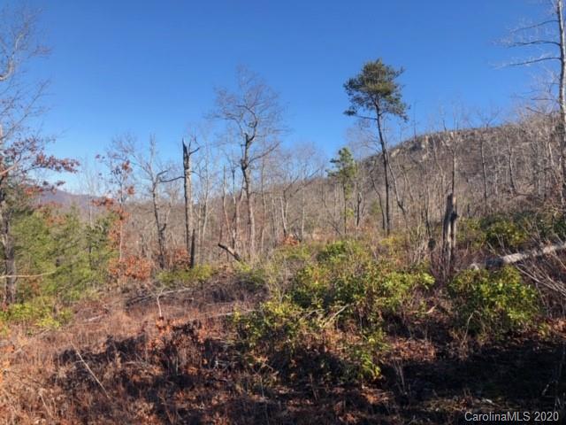 33 Dobsons Knob Loop Road, Unit 33 Marion, NC 28752 - Photo 10 of 16 Gallery Image 10