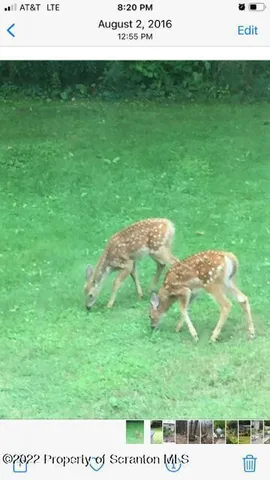 $590,000 | Undisclosed Address, Newfoundland, PA 18445