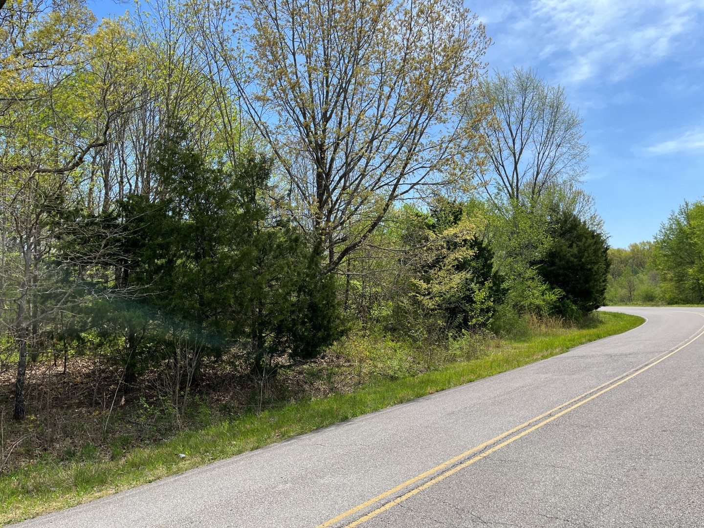 0 South Bear Creek Road Dickson, TN 37055 - Photo 20 of 21 a view of a garden