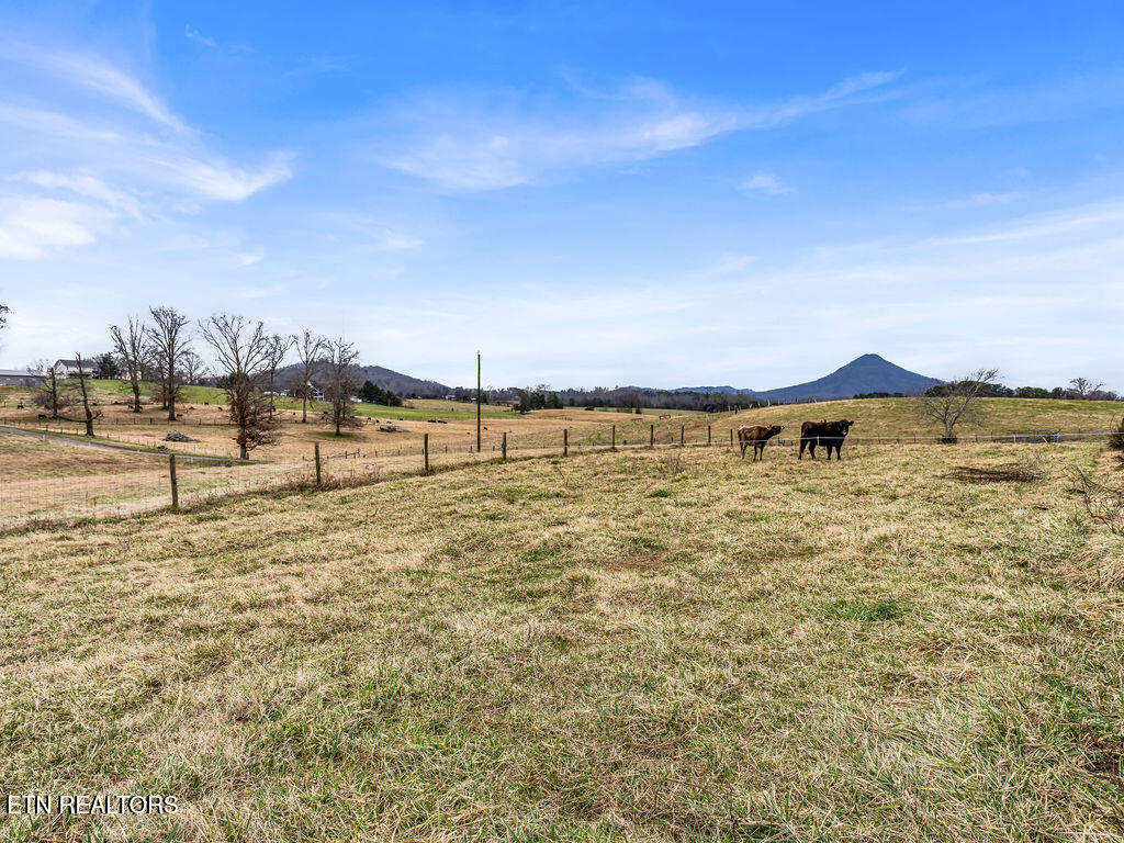 10724 East Emory Road Corryton, TN 37721 - Photo 11 of 59 _DSC7519