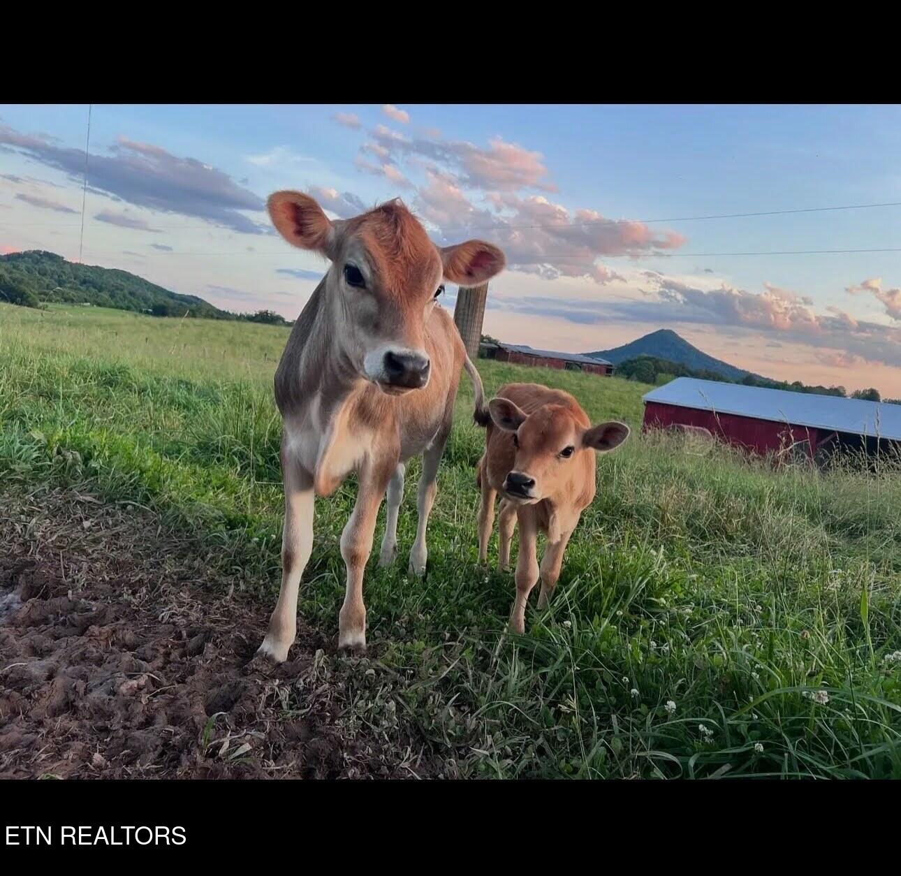 10724 East Emory Road Corryton, TN 37721 - Photo 58 of 59 123_1(1)