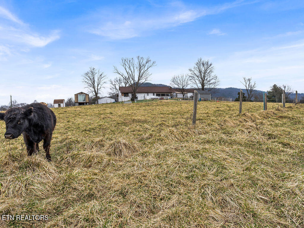 10724 East Emory Road Corryton, TN 37721 - Photo 10 of 59 _DSC7509