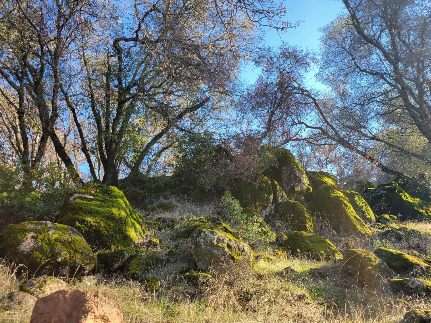19838 Perimeter Road Grass Valley, CA 95949 - Photo 12 of 30 a backyard of a building