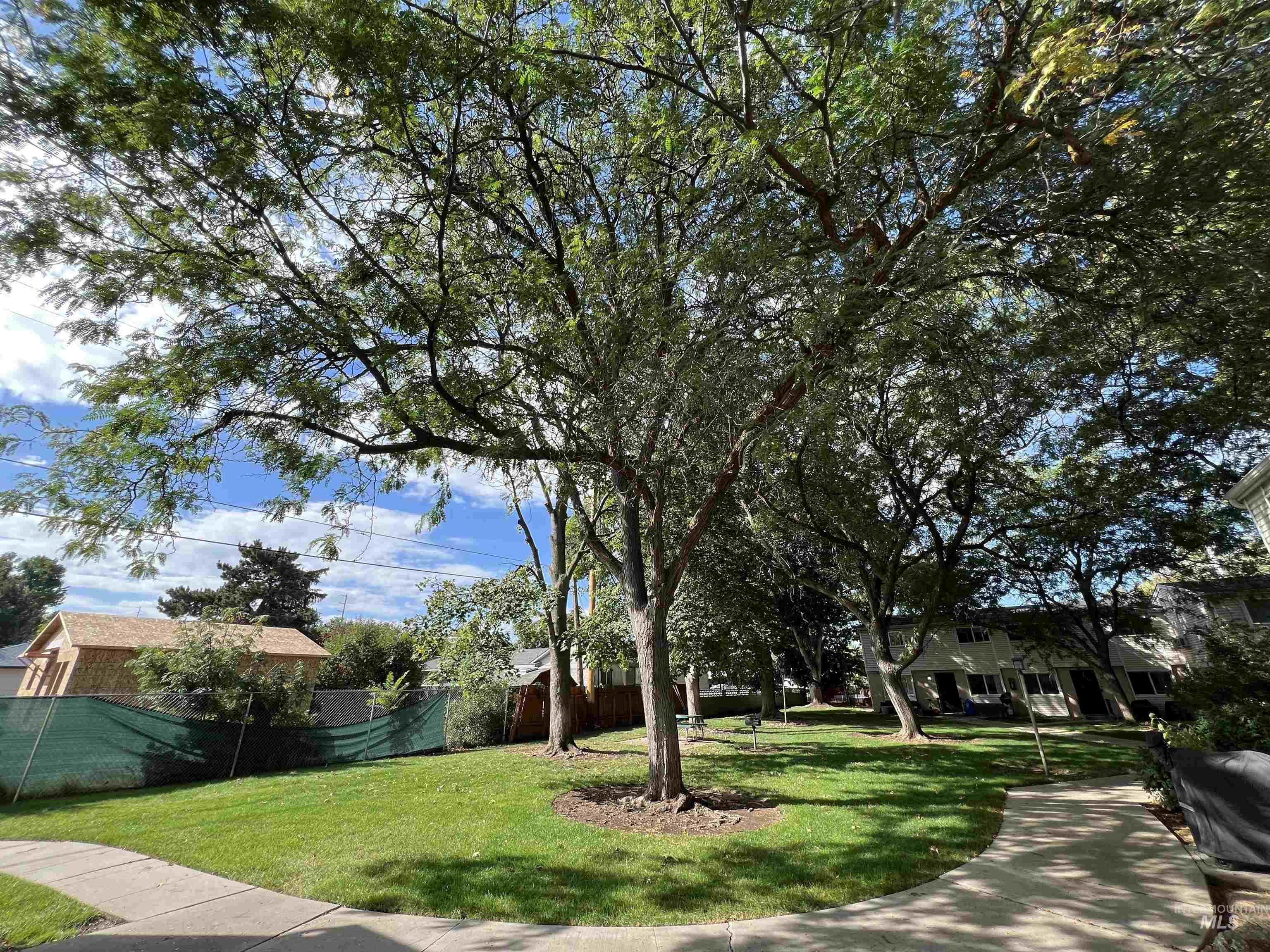 View of trees in courtyard in front of home