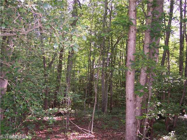 0 Gene Culler Road Dobson, NC 27017 - Photo 2 of 7 Land. Several nice building sites with marketable hardwood timber.