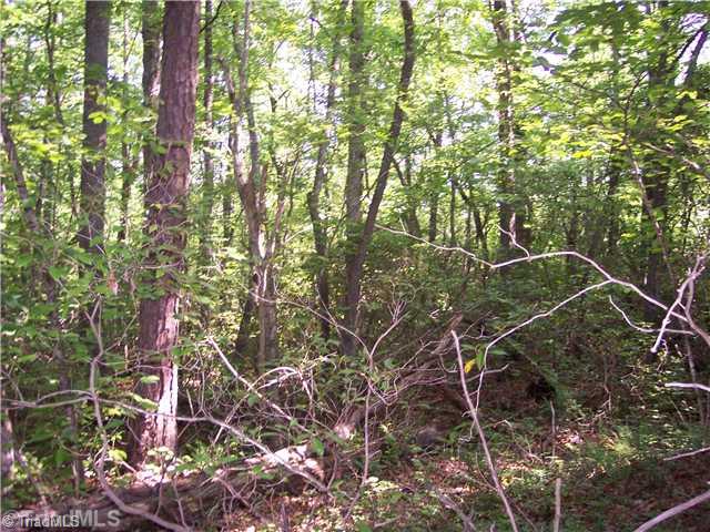 0 Gene Culler Road Dobson, NC 27017 - Photo 3 of 7 Land. Beautiful land in rural community