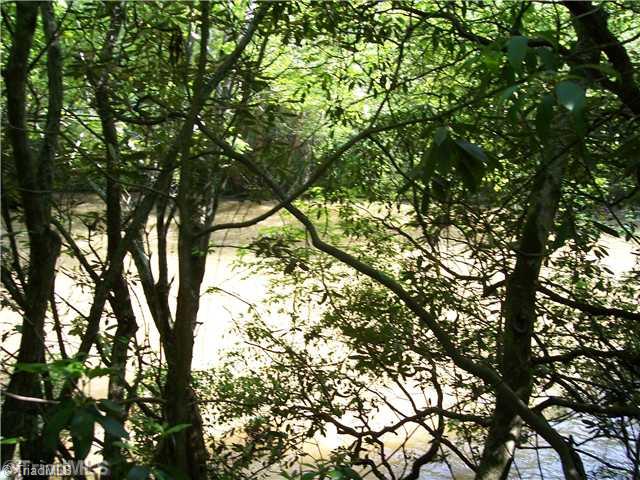 0 Gene Culler Road Dobson, NC 27017 - Photo 5 of 7 Land. Anybody got a tire swing?